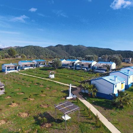 Ferma Jebala Ecolodge Kitane ภายนอก รูปภาพ
