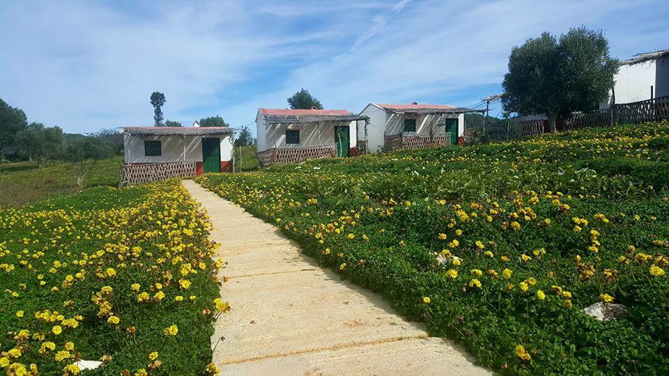 Ferma Jebala Ecolodge Kitane ภายนอก รูปภาพ