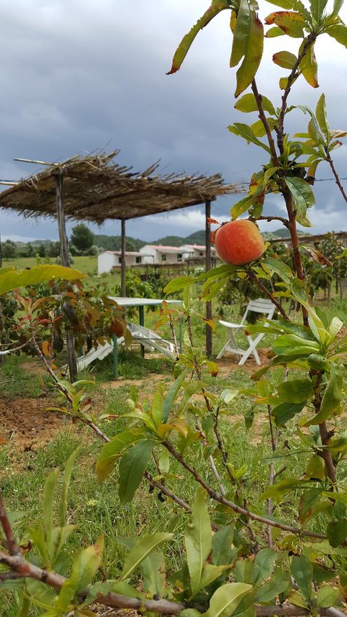 Ferma Jebala Ecolodge Kitane ภายนอก รูปภาพ