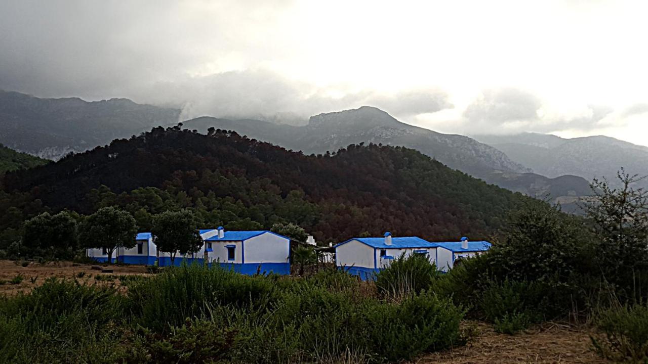 Ferma Jebala Ecolodge Kitane ภายนอก รูปภาพ